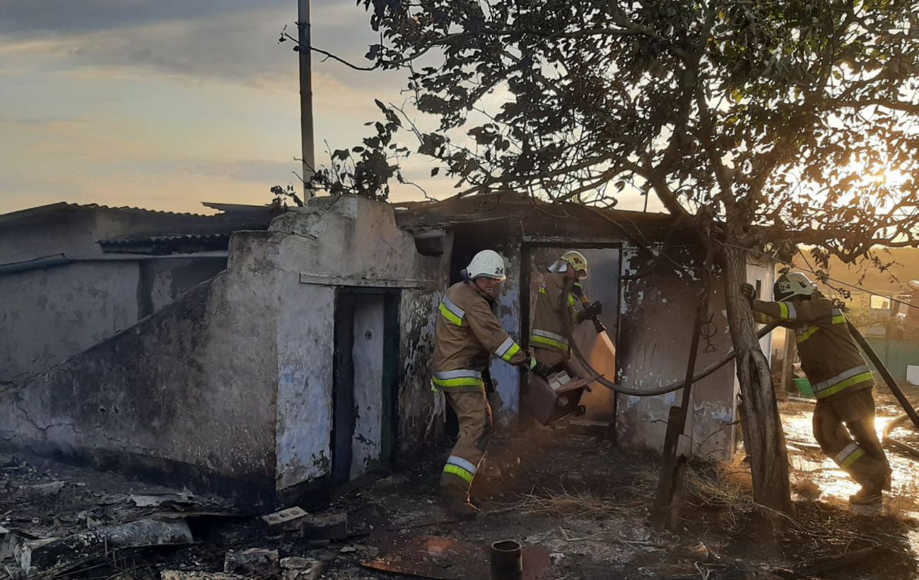 Зображення новини: У Миколаївській області вирують масштабні пожежі: горіли ліси, автівки й будинки