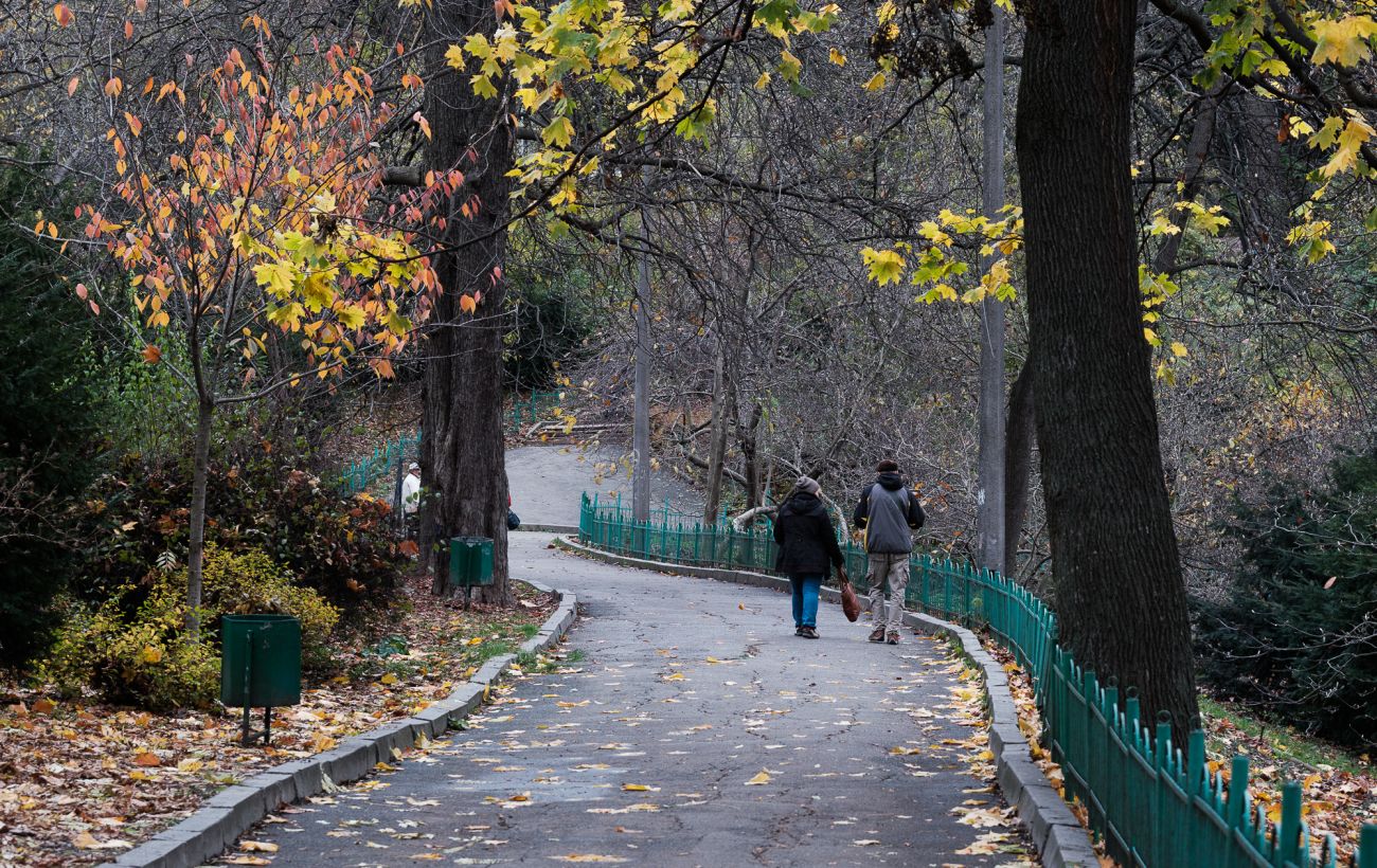 Зображення новини: Україну накриє хмарність і дощі: прогноз погоди на 13 листопада