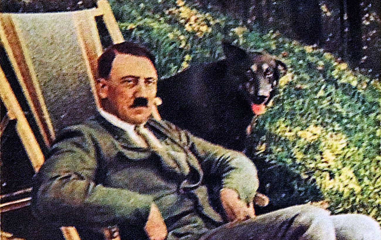 Зображення новини: ДНК Гітлера розкрила медичну таємницю і шокувала вчених: що приховував диктатор