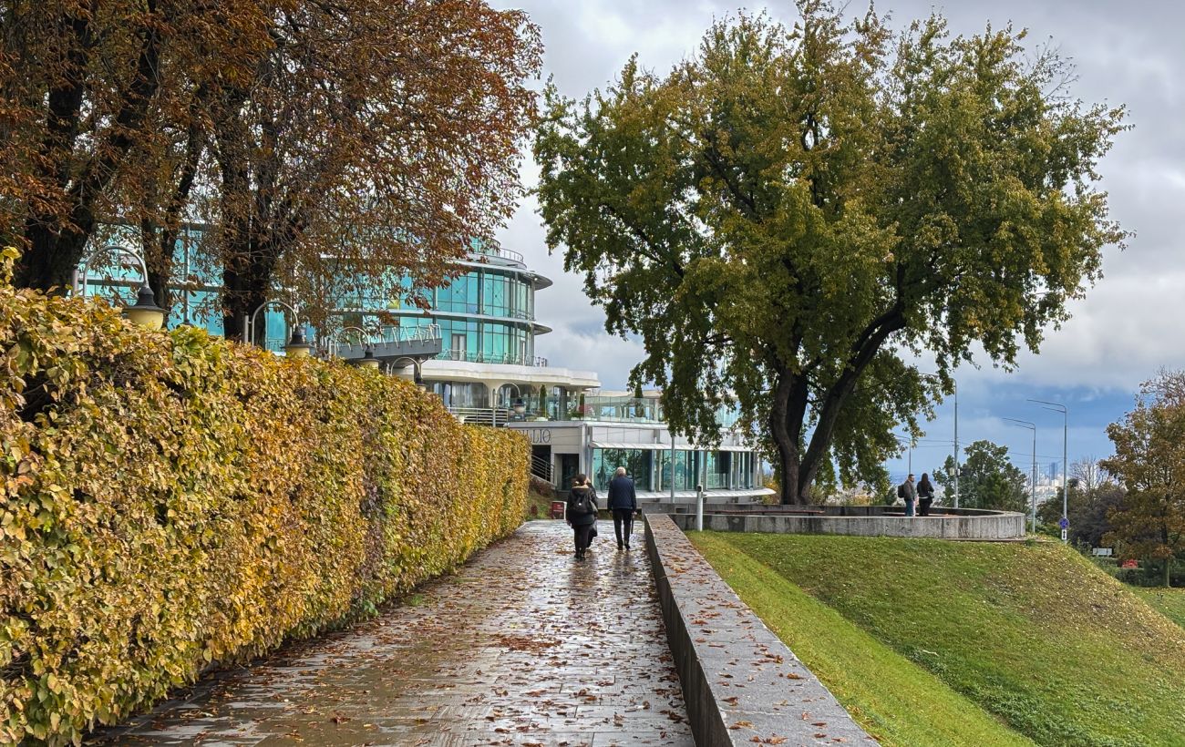 Зображення новини: Погода 20 листопада: де в Україні дощитиме і яка температура буде