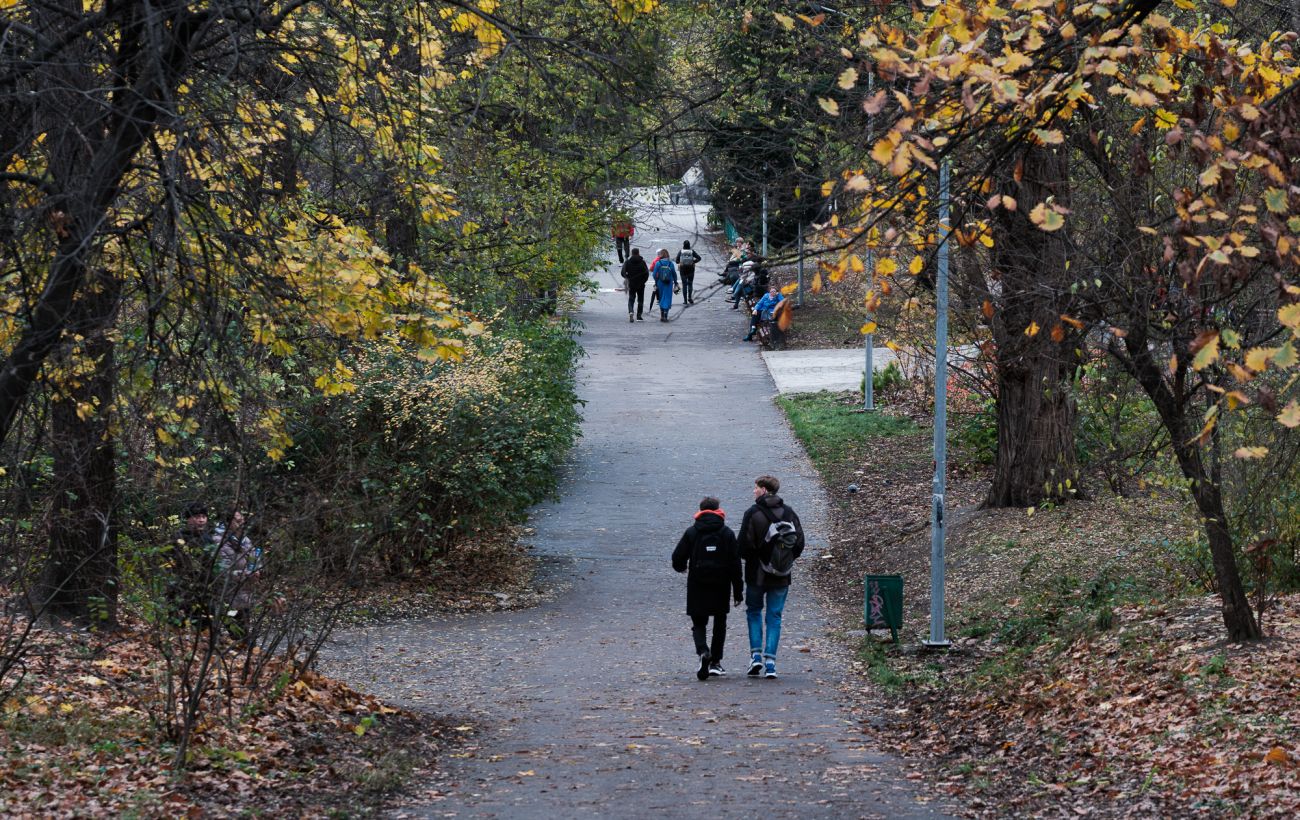 Зображення новини: Початок зими буде теплим: яку погоду очікувати в Україні наступного тижня (карти)