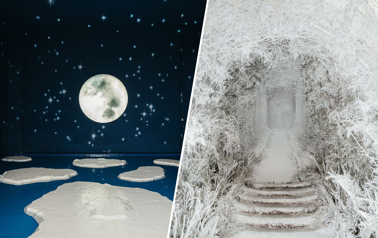 Зображення новини: 5 оновлень Ukraine WOW, які потрібно побачити до закриття виставки