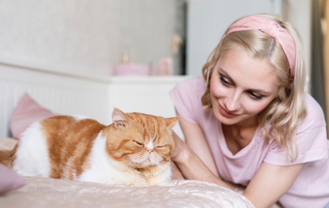 Зображення новини: Чому наші предки уважно стежили за котами: прикмети, які працюють досі