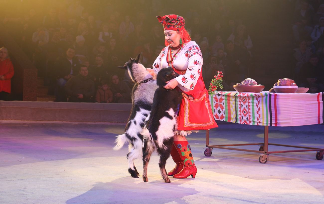Зображення новини: Сміх у найважчі часи. Як змінився Національний цирк України під час війни