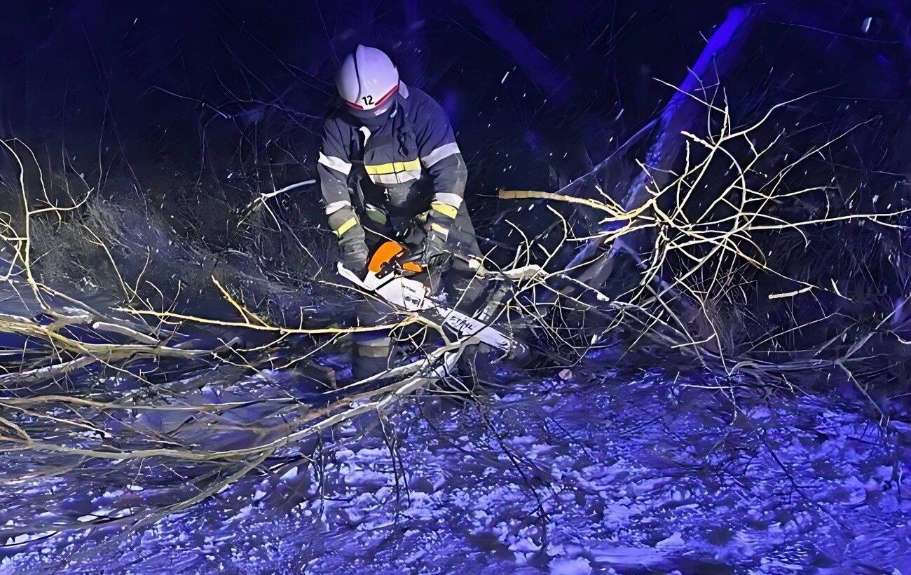 Зображення новини: Негода накрила ще один регіон: на Житомирщині ДСНС прибирає звалені дерева та рятує водіїв