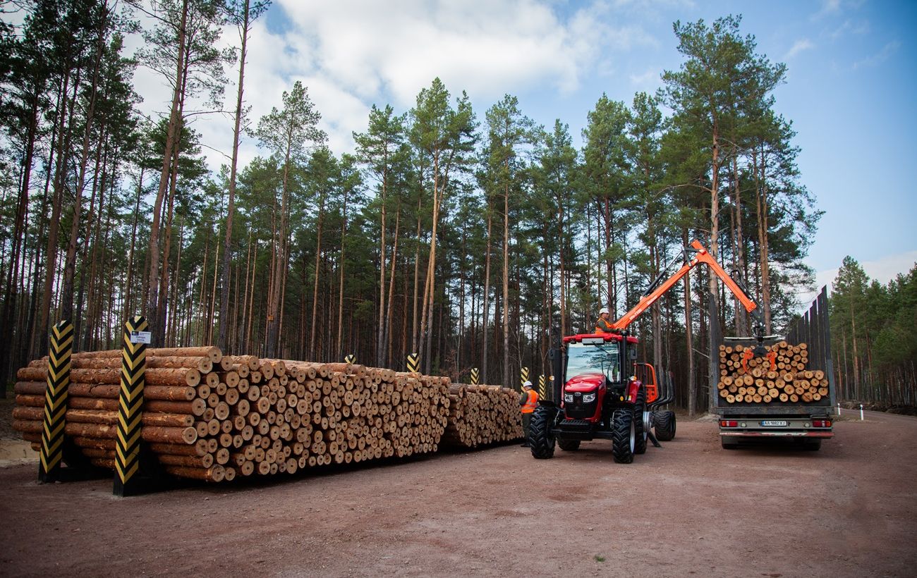 Зображення новини: Рекординй показник. "Ліси України" у 2025 році відрахували в держбюджет 15 млрд грн