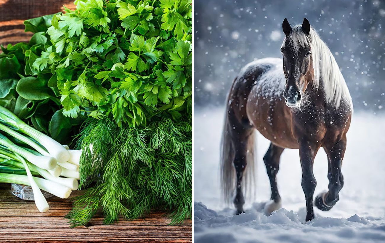 Зображення новини: Що поставити на стіл, щоб задобрити Коня 2026? Один інгредієнт, який принесе гроші