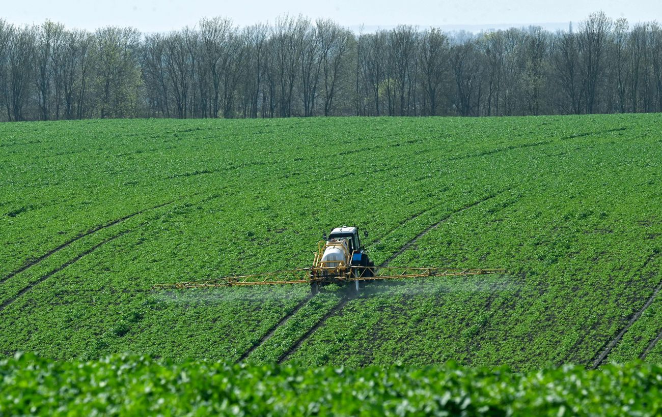 Зображення новини: Морози і снігопади 2026: як зимова погода вплине на урожай в Україні