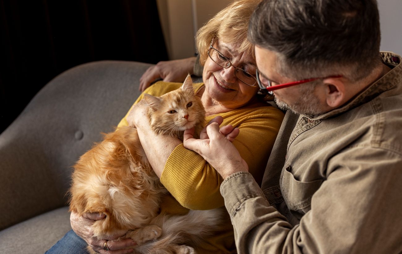 Зображення новини: В Україні хочуть дозволити передавати домашніх тварин за заповітом: що треба знати власникам