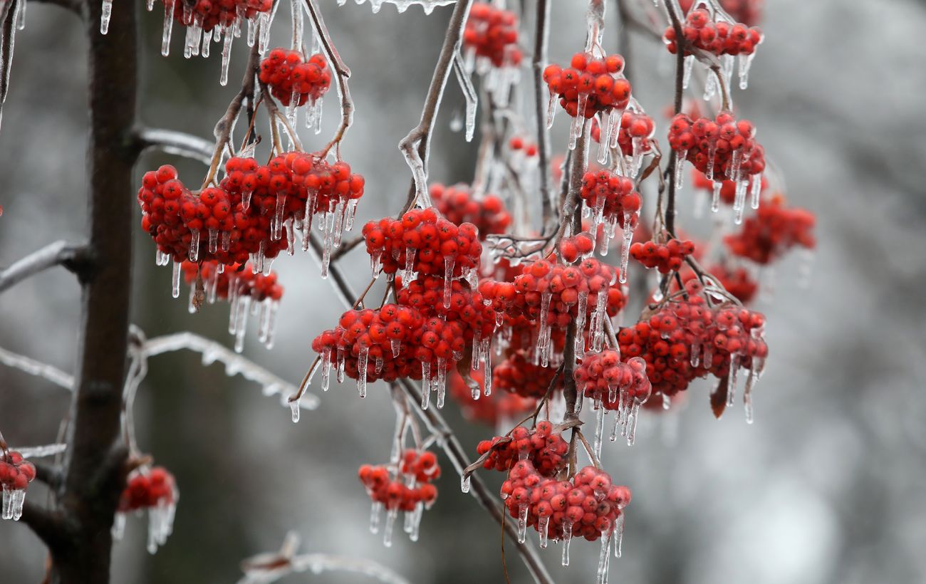 Зображення новини: Єдиний теплий день перед різким похолоданням: прогноз погоди на завтра