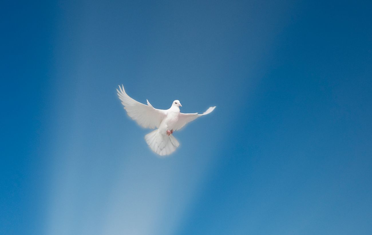 Зображення новини: Чого просити у Бога 2 лютого? Молитви на Стрітення, що мають чудодійну силу