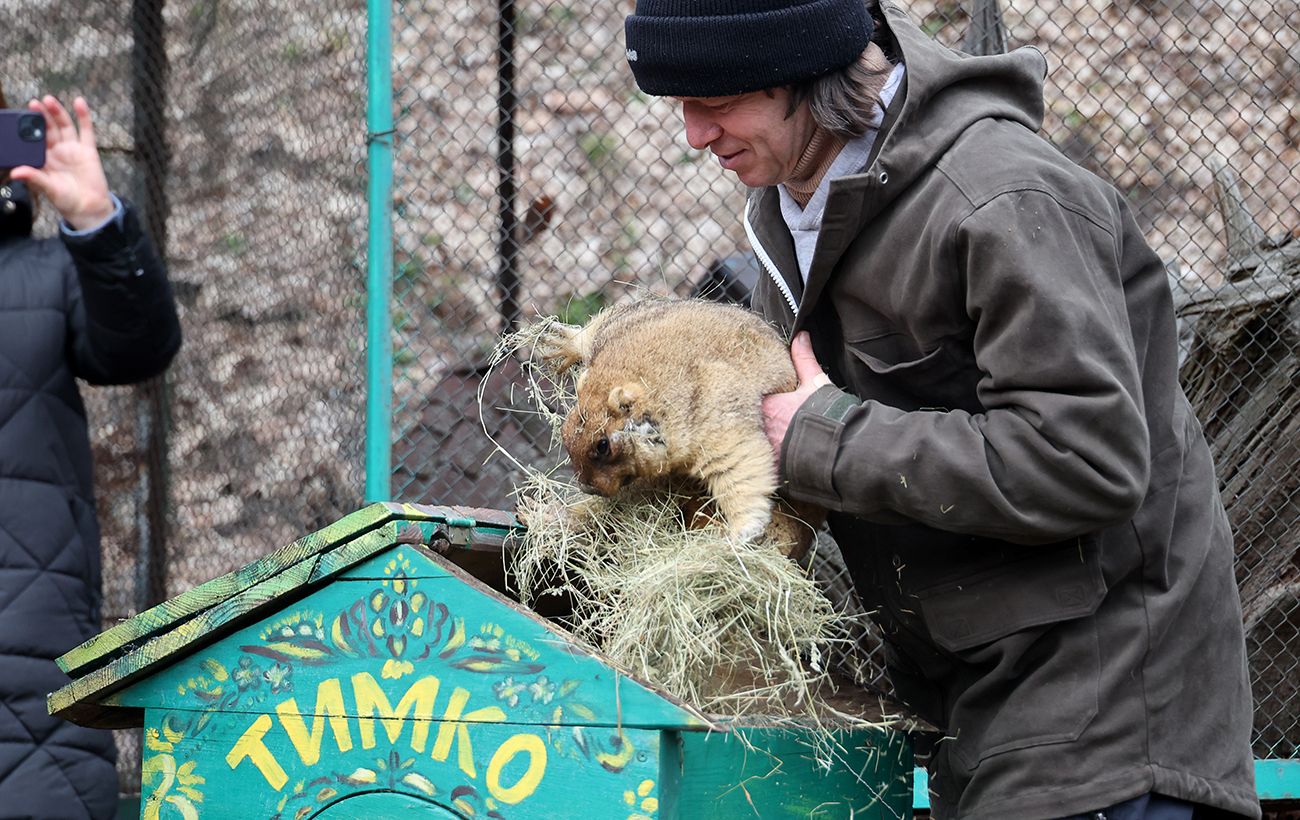Зображення новини: Прогноз бабака Тимка: коли в Україну нарешті прийде справжнє тепло