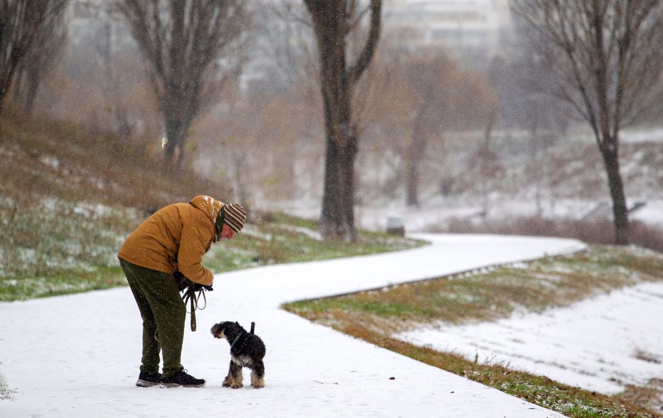 Зображення новини: Потепління наближається: де сьогодні буде +4, а де - піде сніг з дощем
