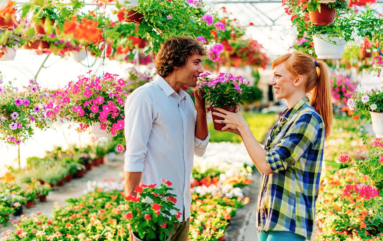 Зображення новини: Чому не можна дарувати вазони та саджанці: народна прикмета, про яку попереджали бабусі