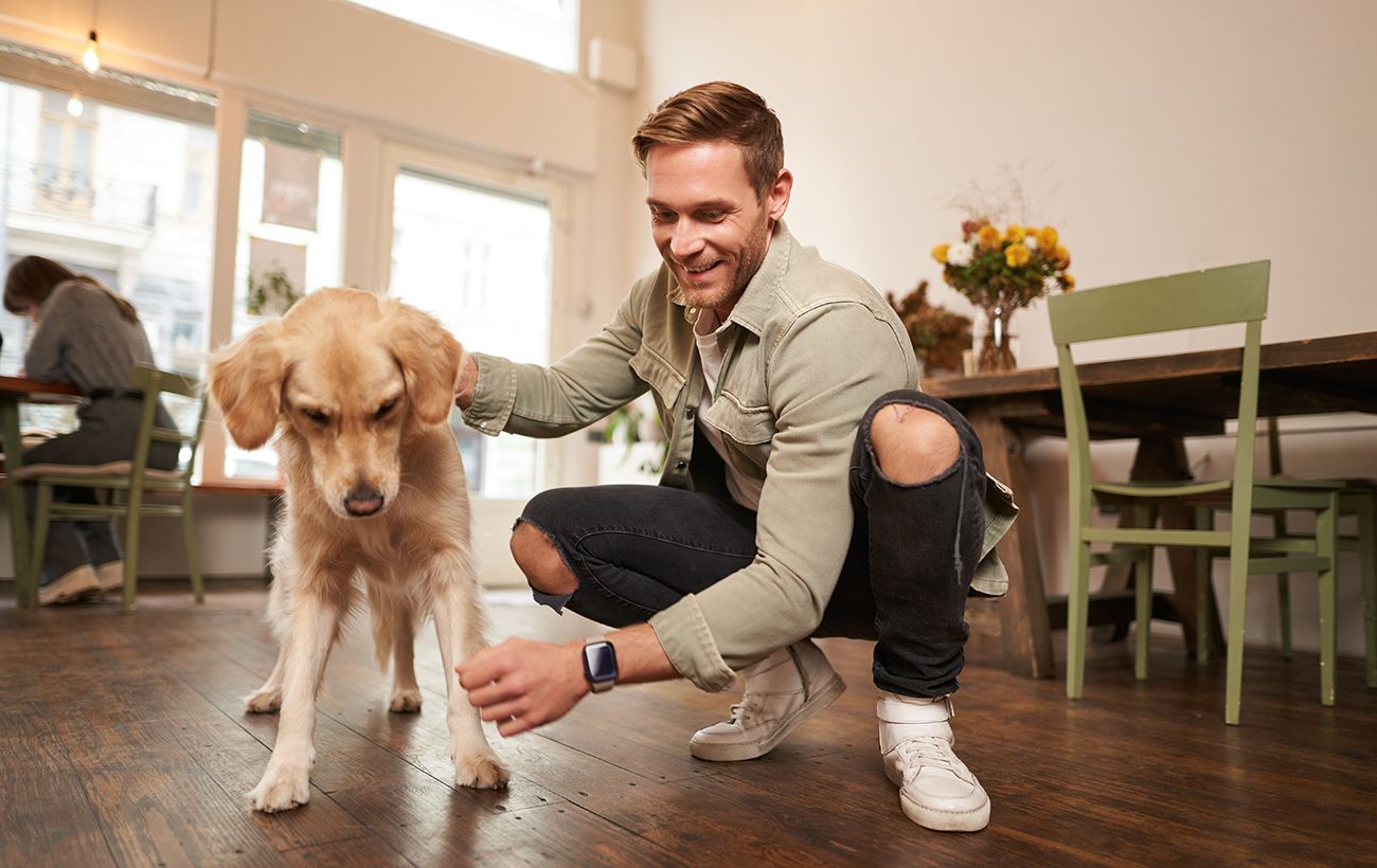 Зображення новини: Хвіст виляє - не завжди радість: 10 сигналів собаки, які ви читаєте неправильно