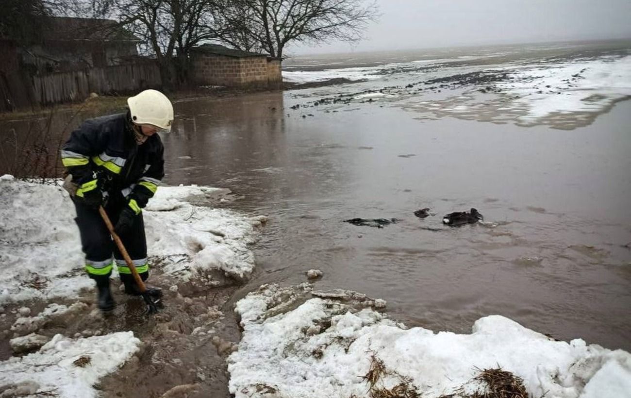 Зображення новини: Українців попередили про підтоплення: які області під загрозою