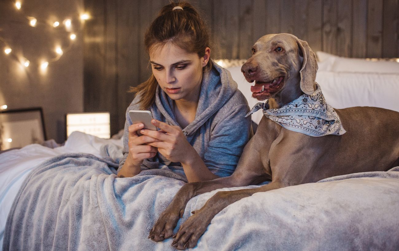 Зображення новини: Компенсація грошей від "Ощадбанку" й "Укренерго"? Як працює нова пастка шахраїв