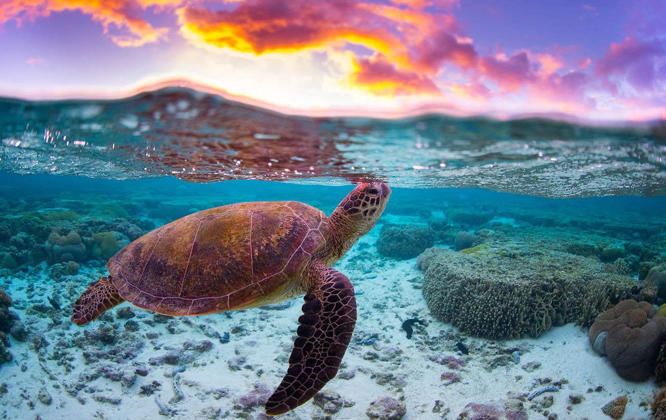 Зображення новини: 20 унікальних місць планети, які зникнуть до 2045 року: що треба встигнути побачити