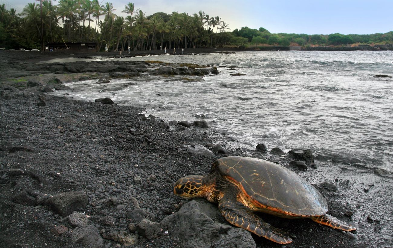Зображення новини: Забудьте про білий пісок: 10 пляжів, де він рожевий, зелений і навіть чорний