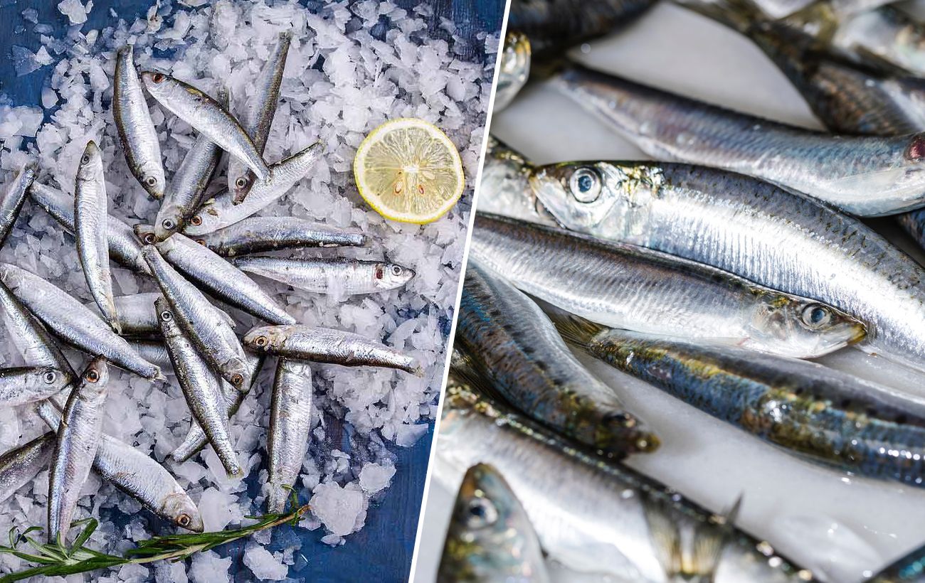 Зображення новини: Кілька чи хамса: як не дати себе ошукати на ринку та обрати найкращу рибу