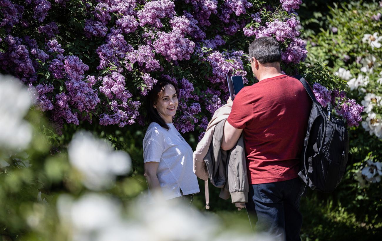 Зображення новини: Магнолії та бузок у Києві: чи не пошкодили морози головні символи Ботсаду Гришка