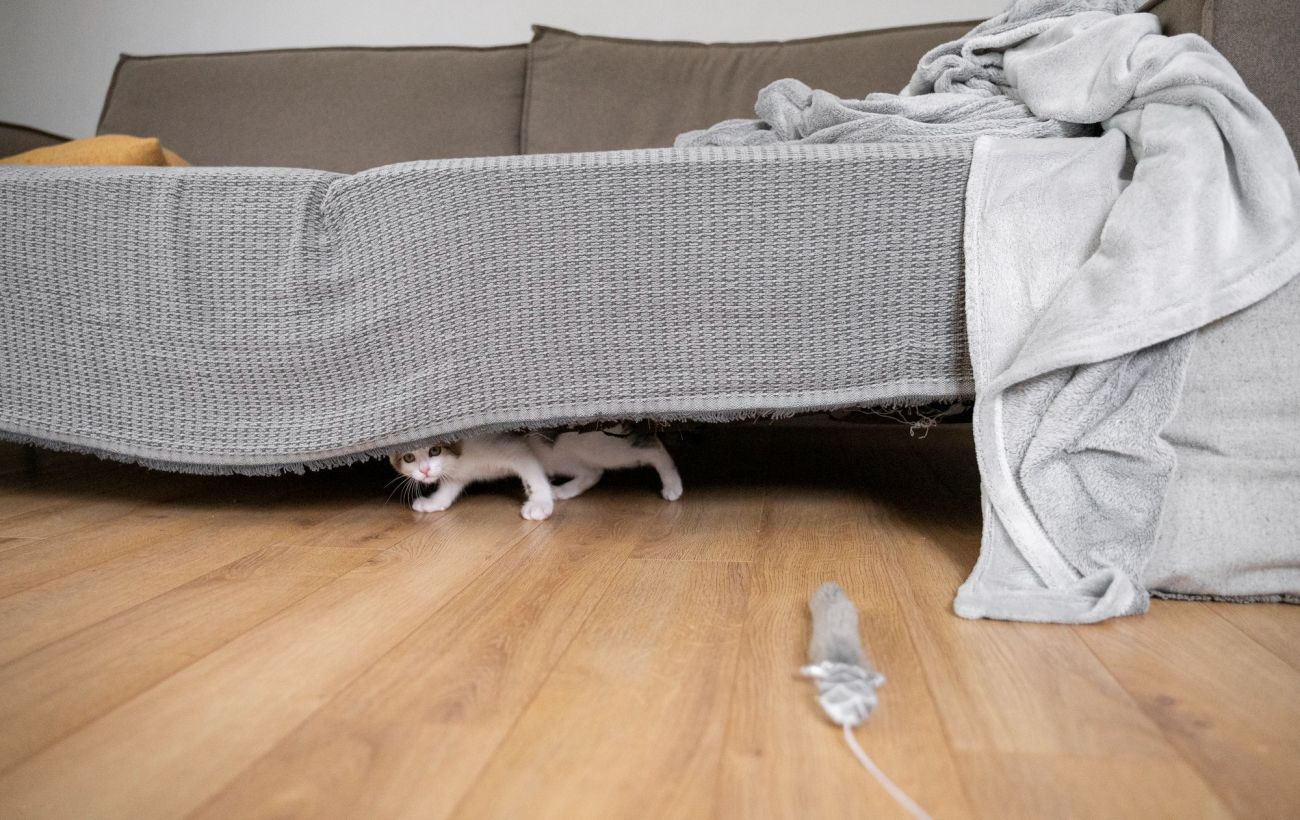 Зображення новини: Бактерій більше, ніж у ванній: ці 5 місць у спальні майже ніхто не чистить