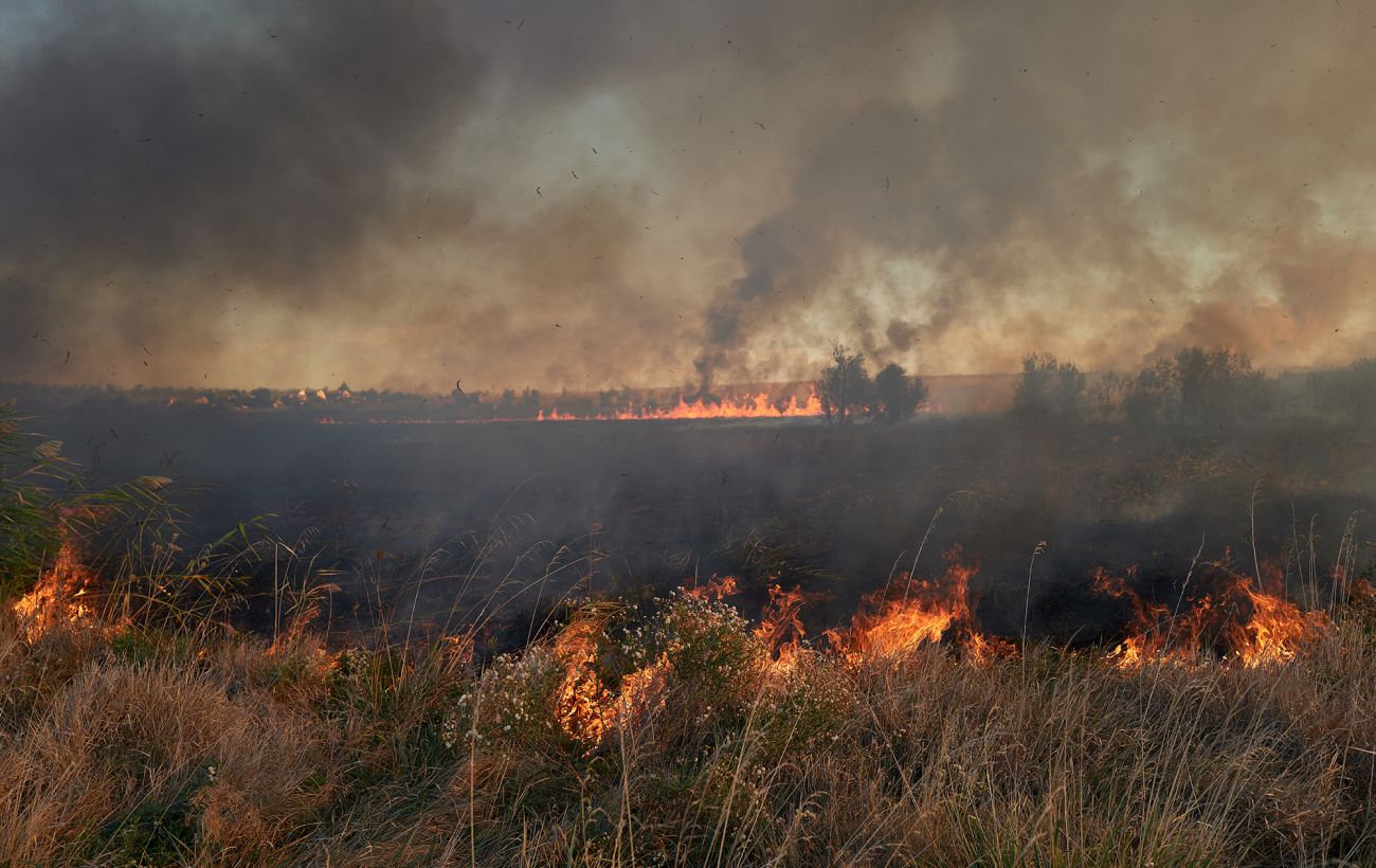 Зображення новини: Багаття ціною 30 тисяч: українцям нагадали про штраф за спалювання трави