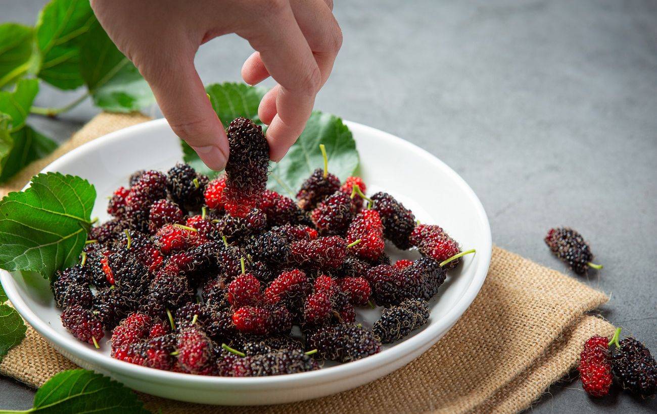Зображення новини: Лікарі радять їсти цю ягоду після 50: вона зміцнює серце та уповільнює старіння