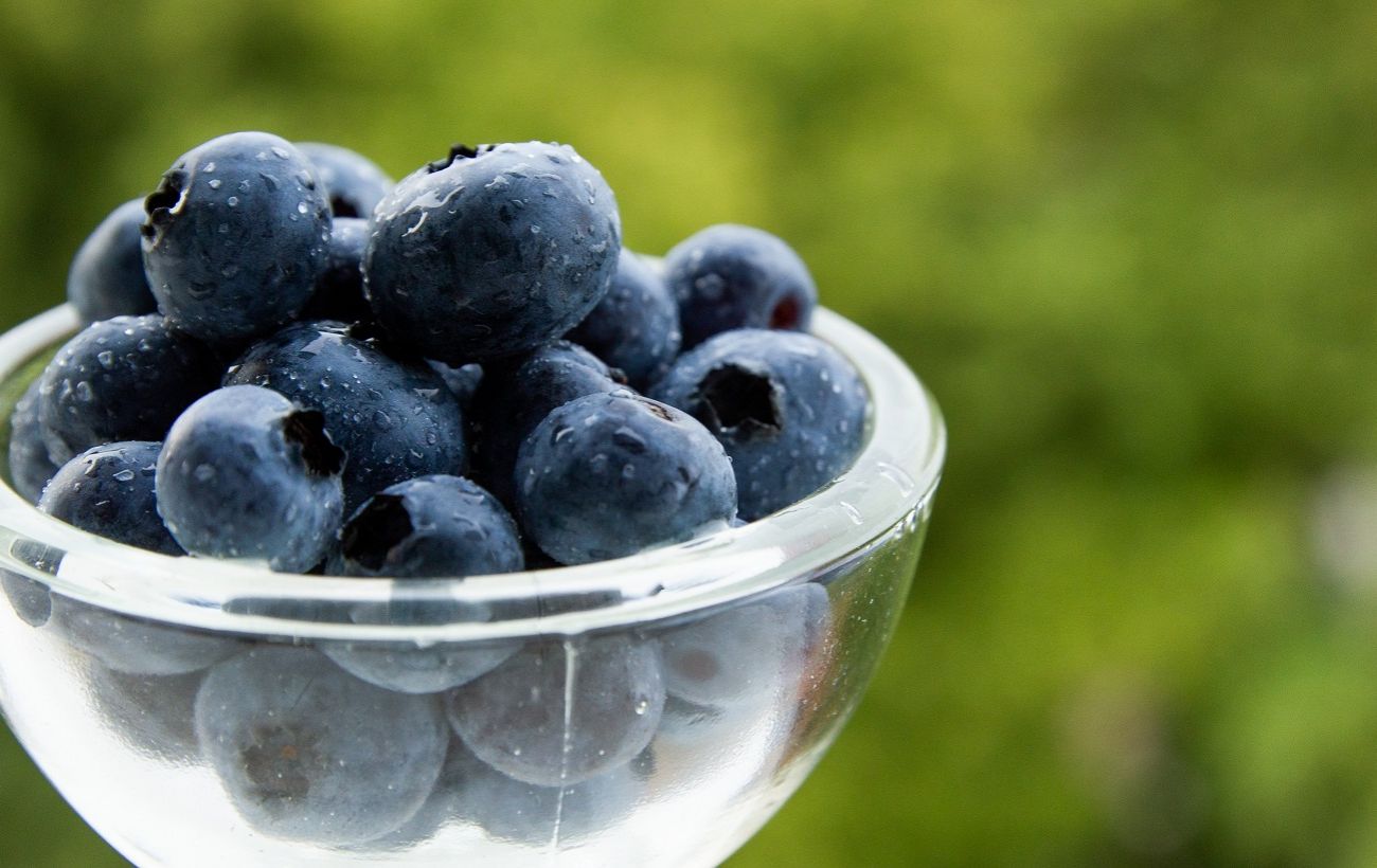 Зображення новини: "Золота" ягода за копійки: секретний спосіб розмножити лохину, про який мовчать садові центри