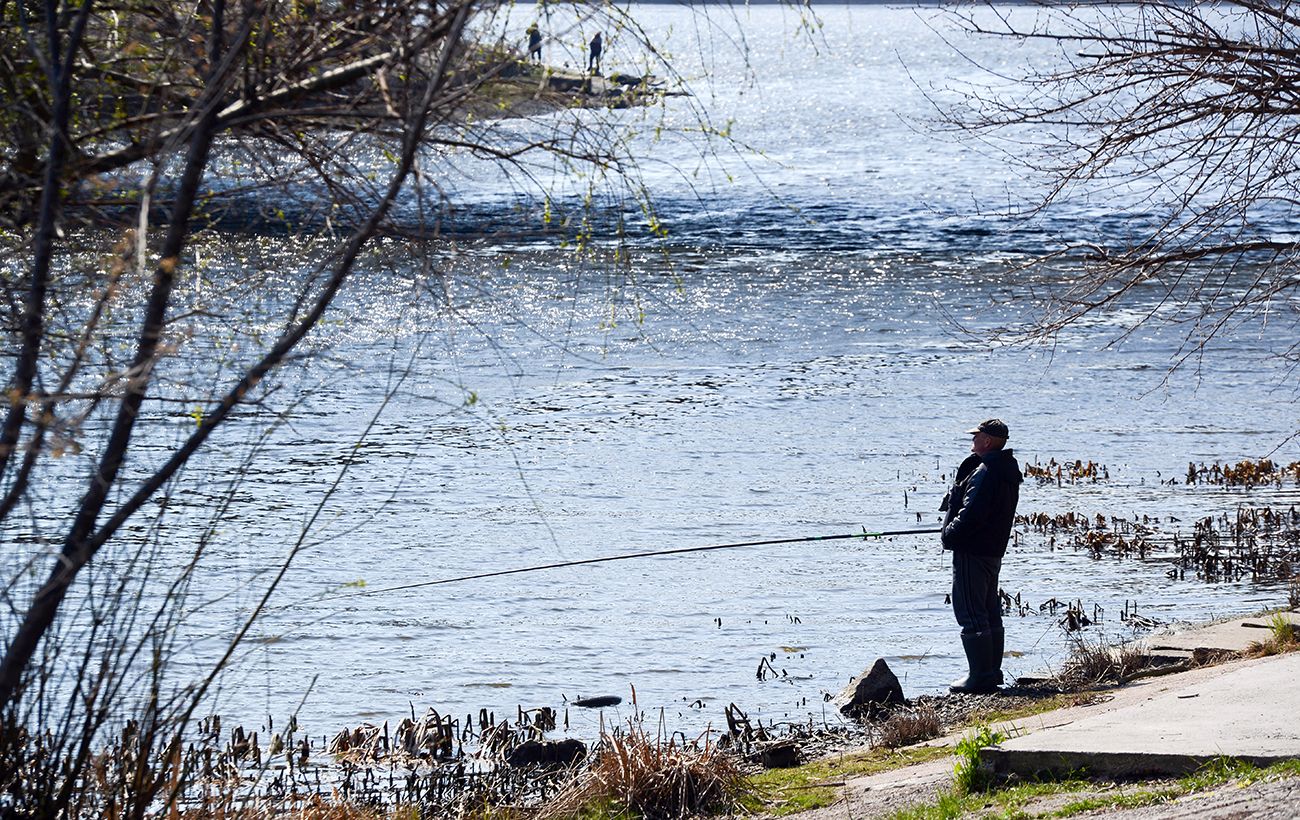 Зображення новини: Нерест 2026 в Україні: коли стартує заборона і як можна рибалити, щоб не "зловити" штраф