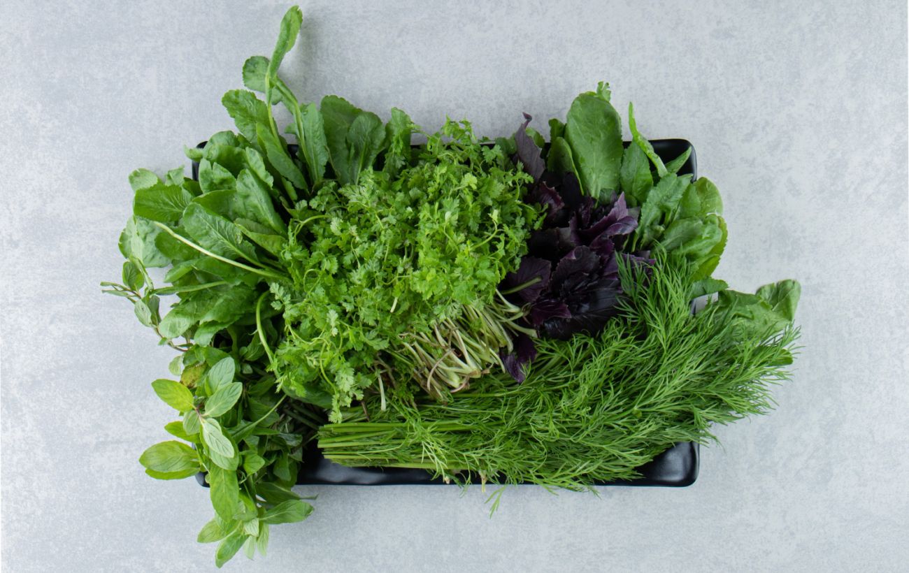 Зображення новини: Ці 6 видів зелені варто їсти щотижня: користь для організму вражає