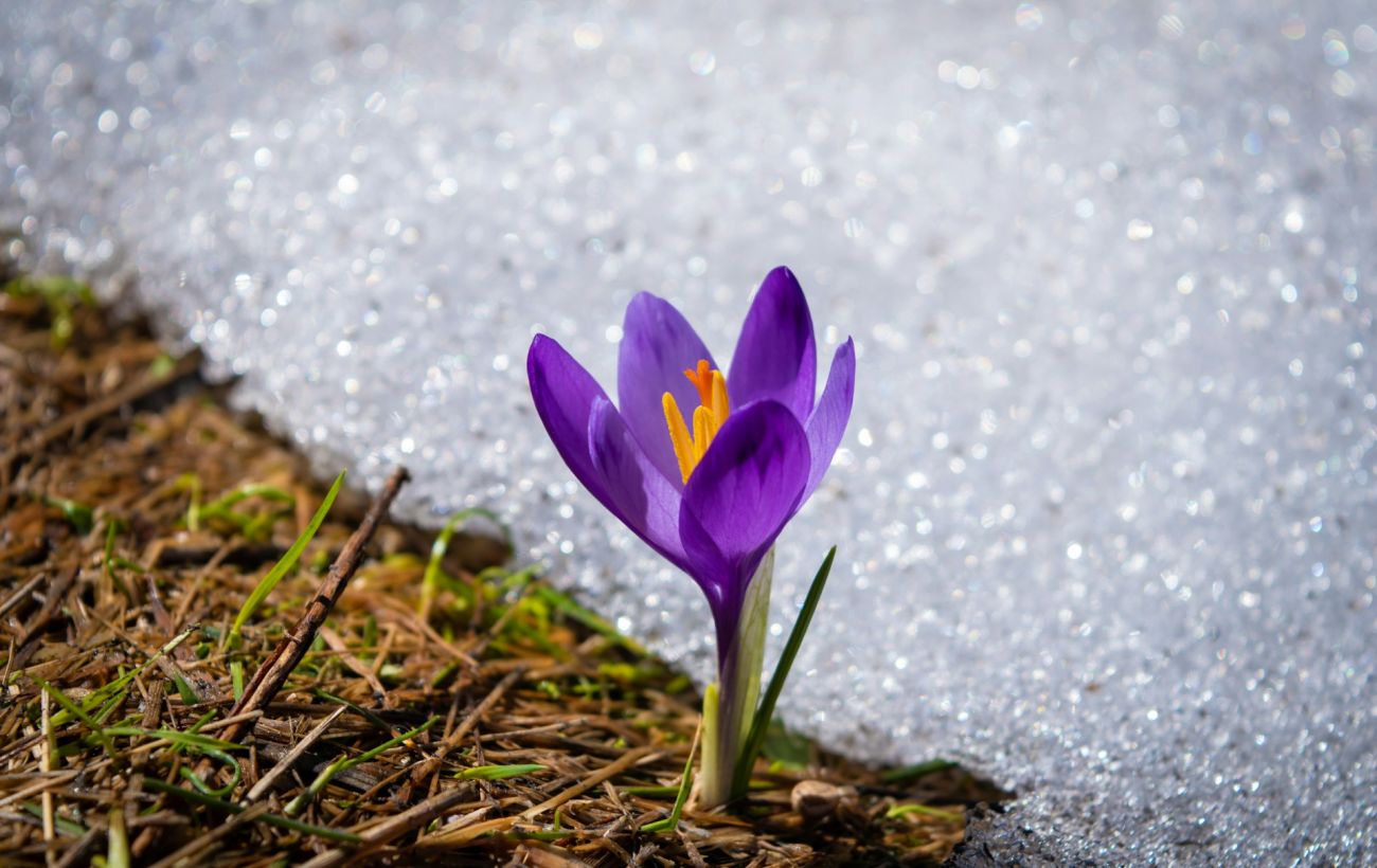 Зображення новини: В Україні з квітня стартує "сезон тиші": що це таке та що буде під суворою забороною