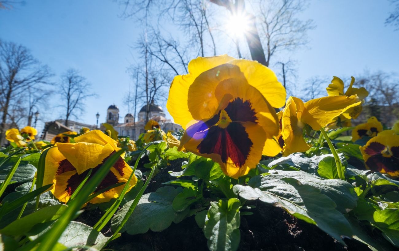 Зображення новини: Погода в Україні змінюється: в які області завтра прийде дощ і де прогріє до +18