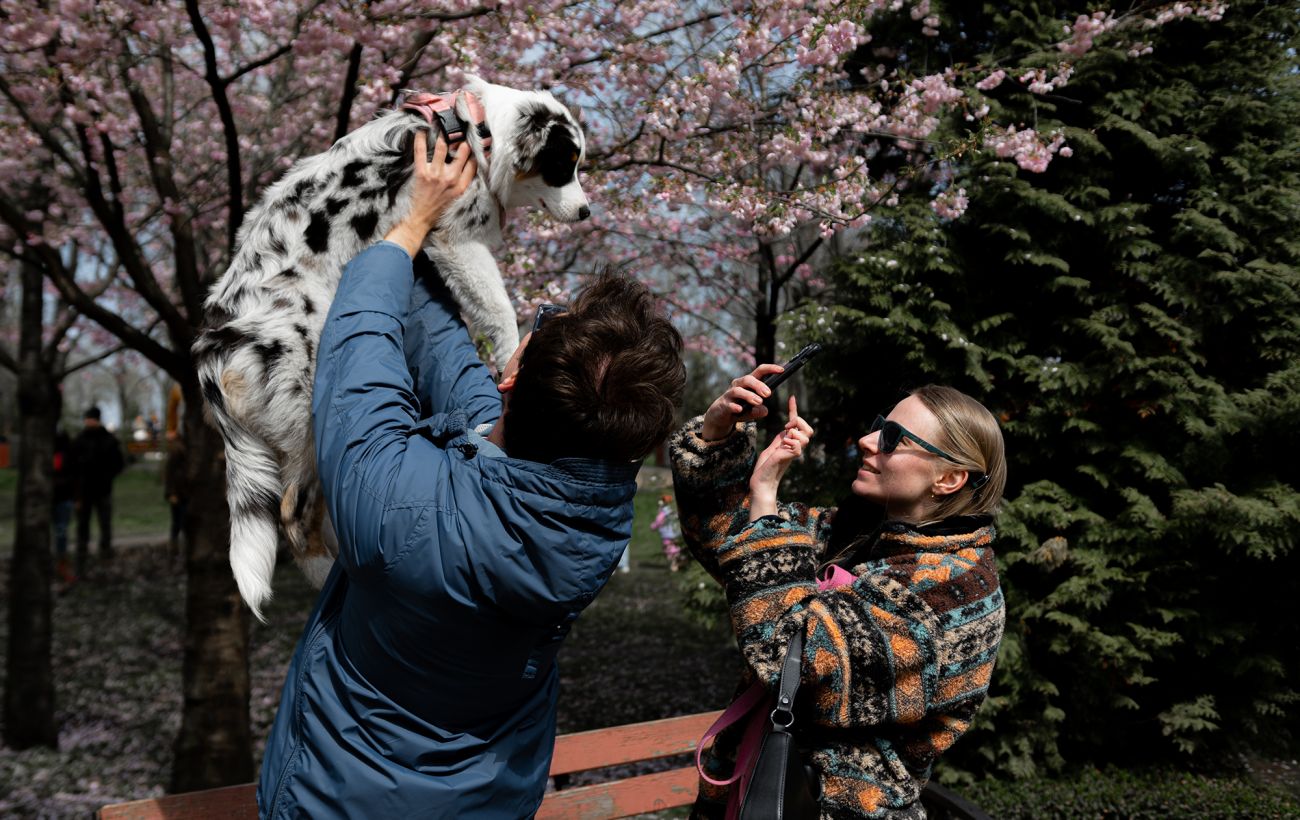 Зображення новини: Квітень прийде з холодом? Якою буде погода після теплого березня - бліц з синоптиком