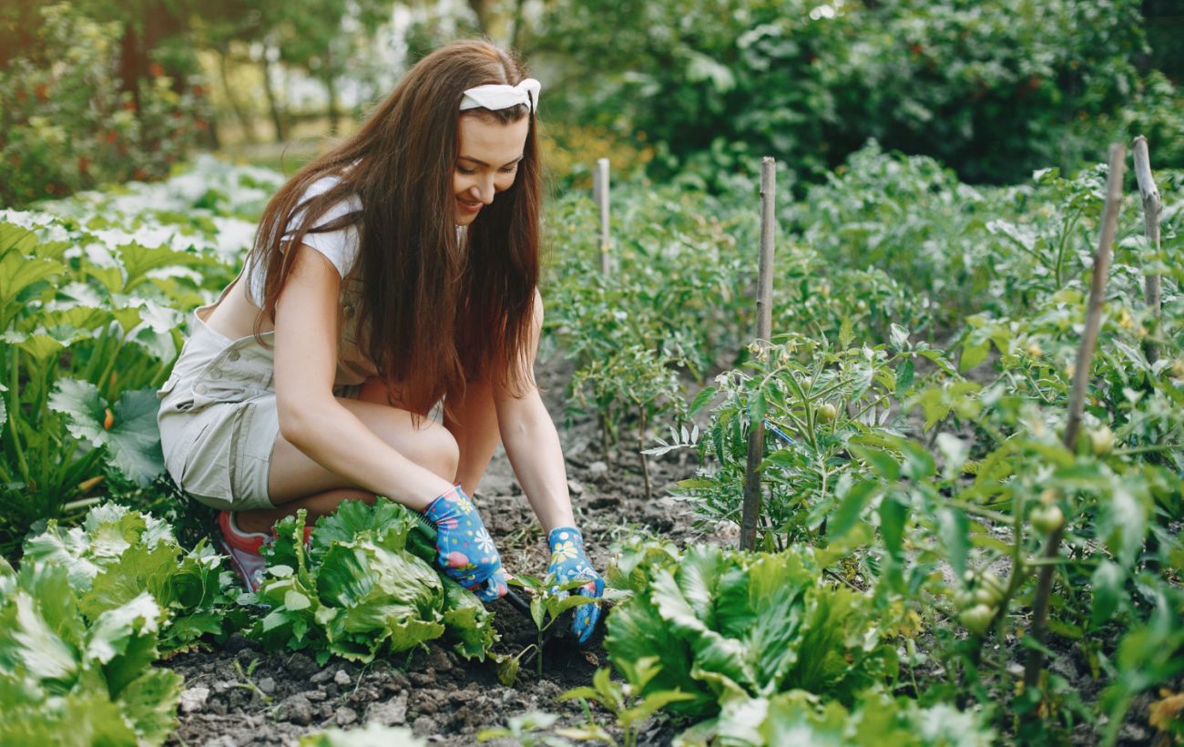 Зображення новини: Календар городника на квітень 2026: коли сіяти, а коли взагалі не підходити до грядки