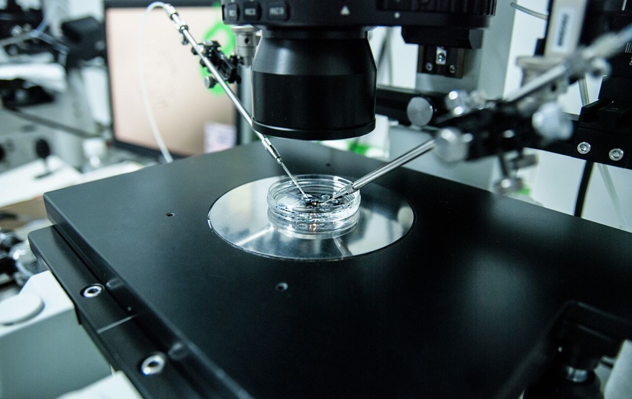 Зображення новини: Лікуйте безпліддя за державний кошт: як зробити безкоштовне ЕКЗ в Інституті репродуктивної медицини Дахно