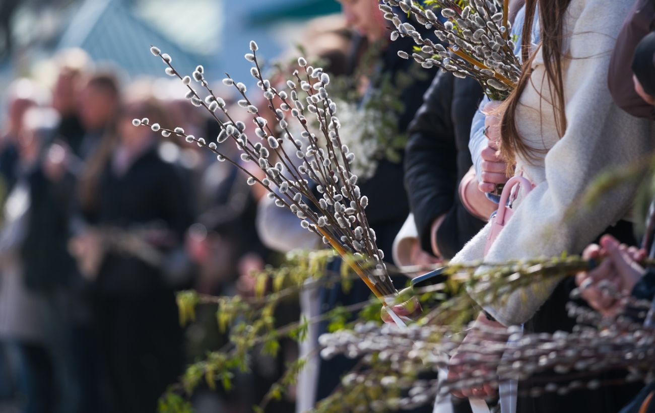 Зображення новини: Вербна неділя 2026: що означає свято й чому насправді у храмах освячують "котики"