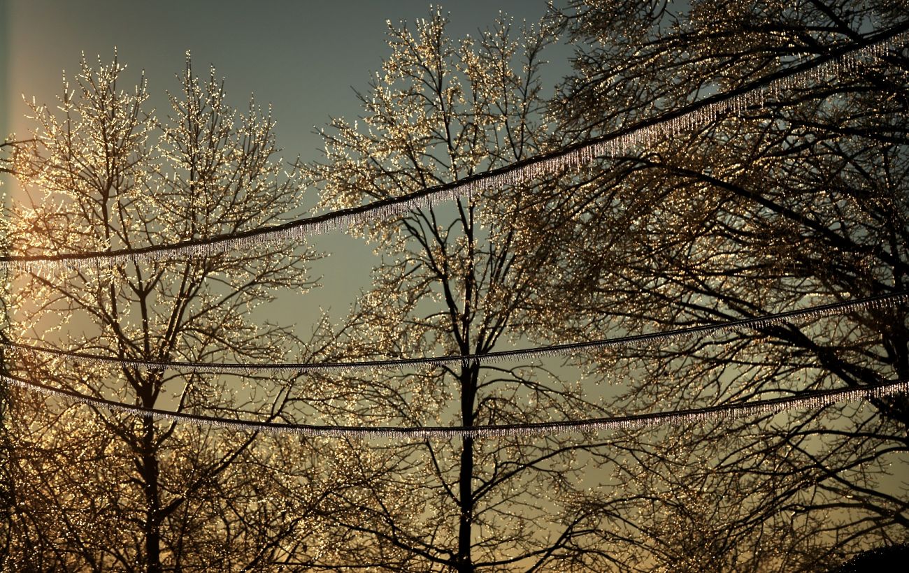 Зображення новини: В одну з областей України йдуть сильні заморозки до -5