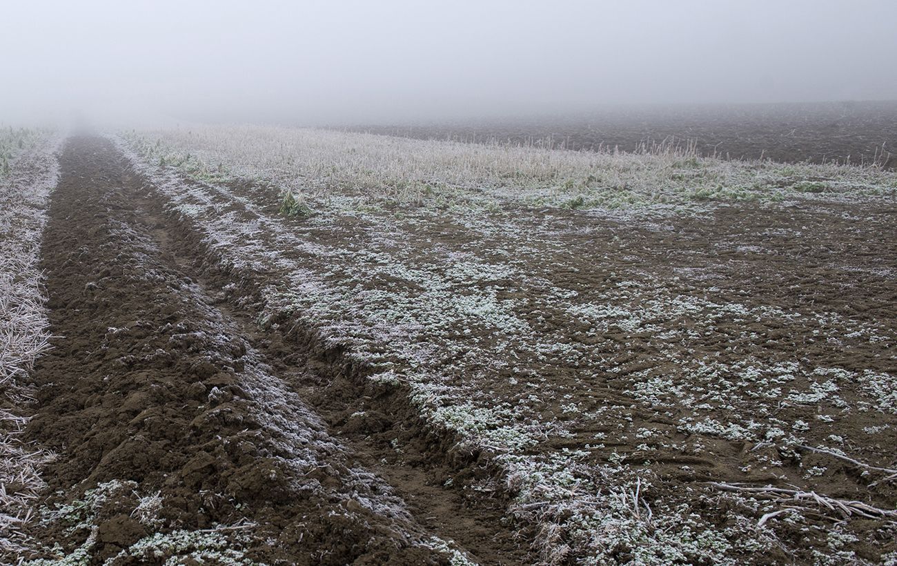 Зображення новини: Більшість областей України вночі накриють заморозки (карта)