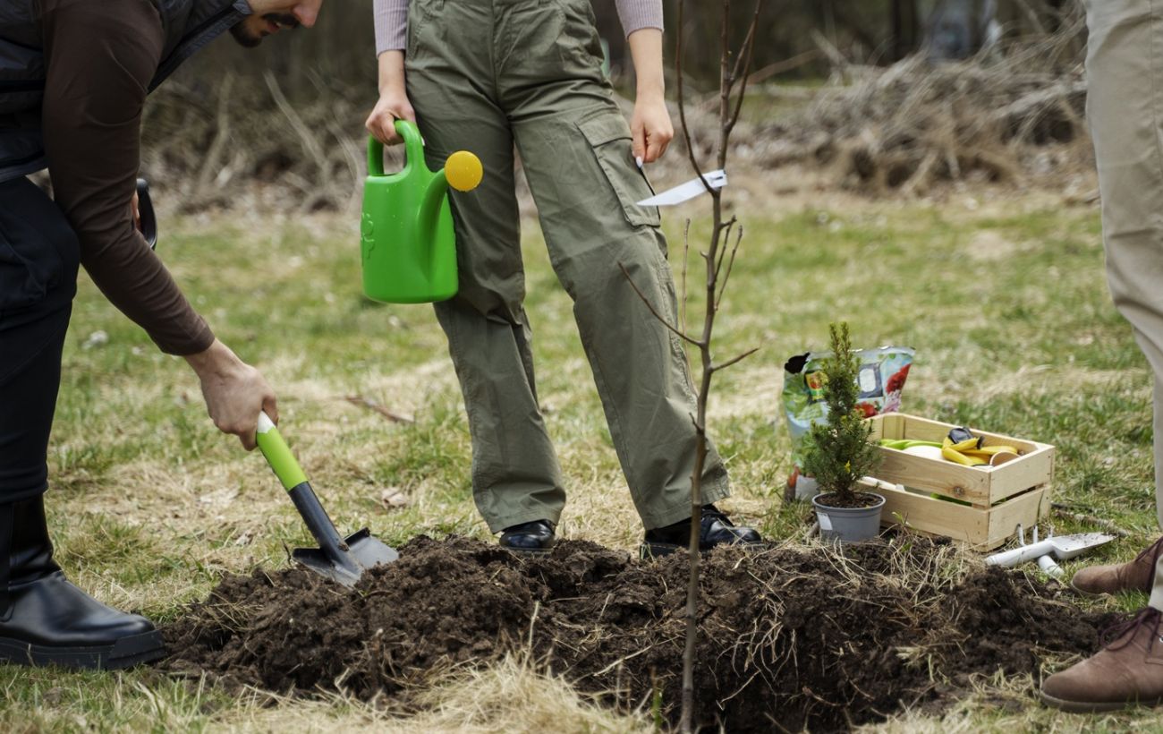 Зображення новини: Засохне вже до літа: топ-3 помилок, через які дерева не приживаються у 90% випадків