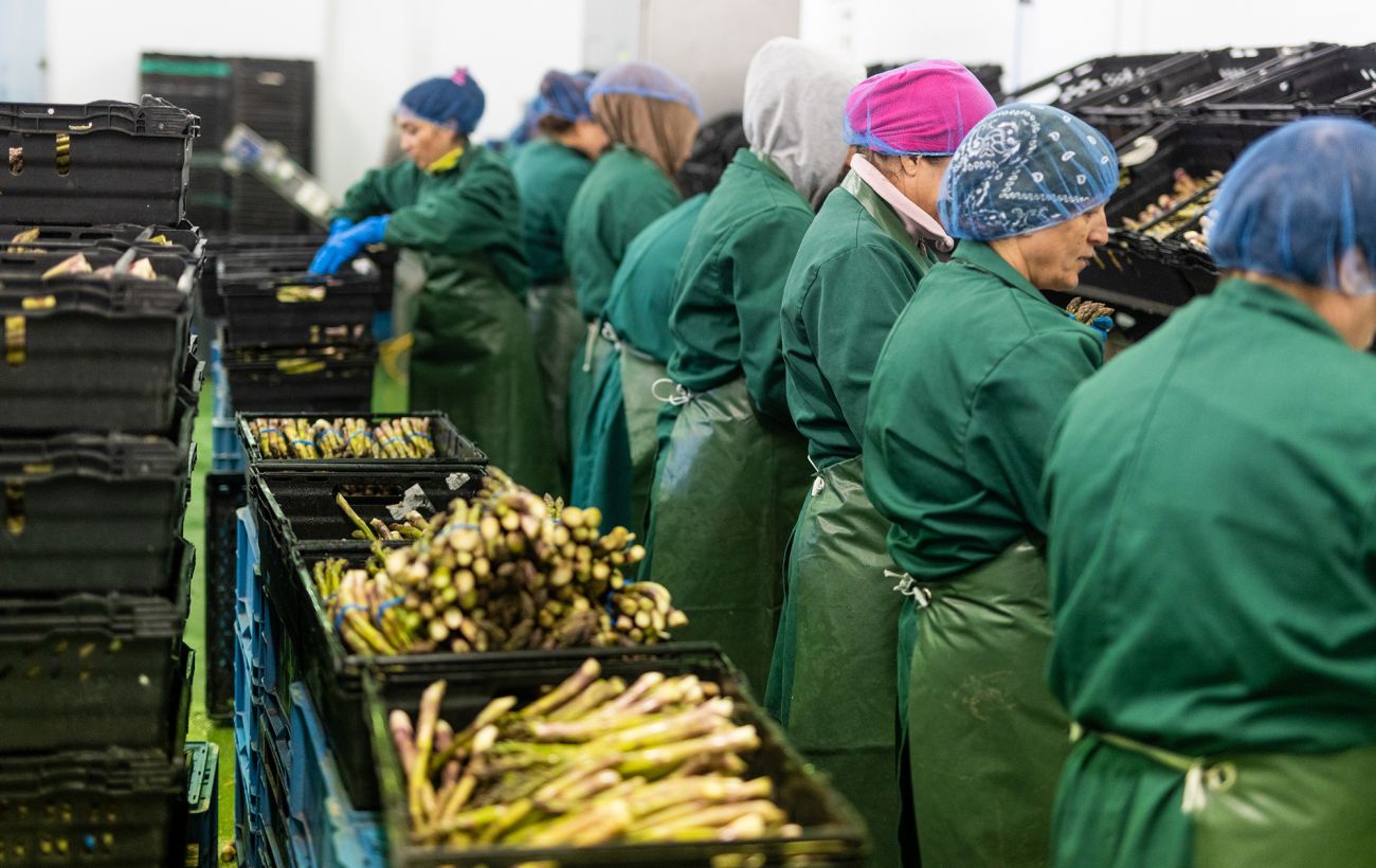 Зображення новини: Ефект "мінімалки" і звільнення: що насправді відбувається із зарплатами в Польщі