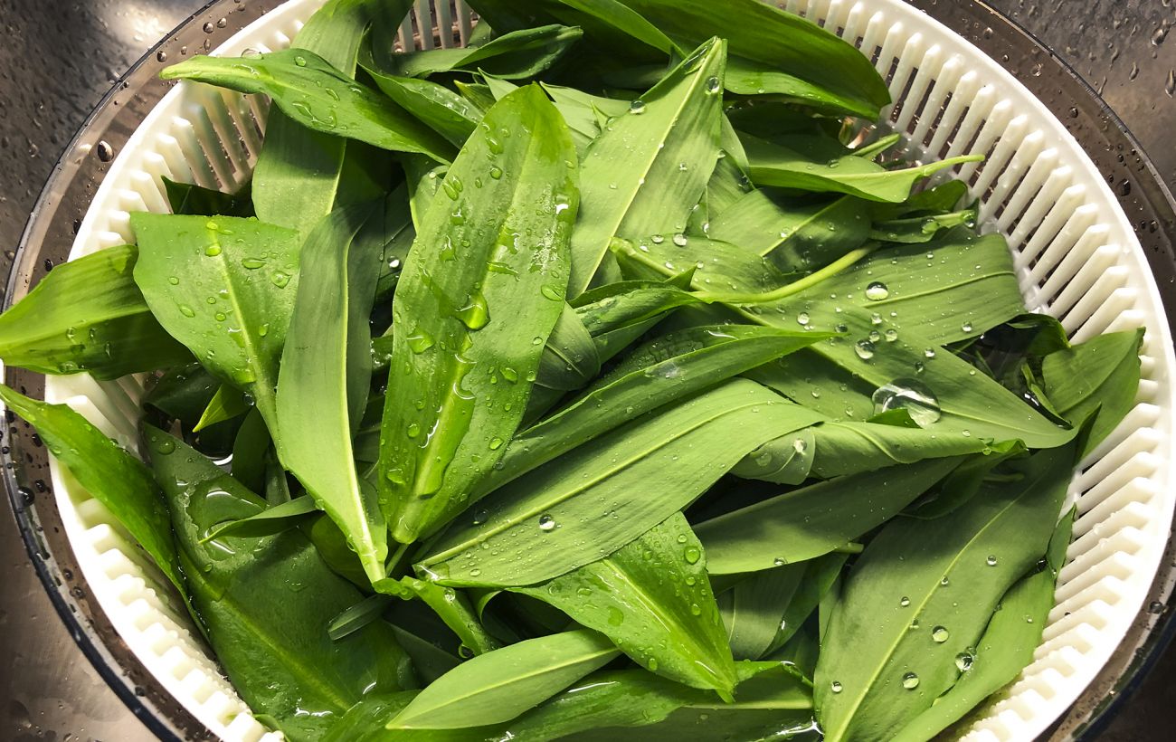 Зображення новини: Це врятує вас від отруєння: як не купити "двійника" черемші