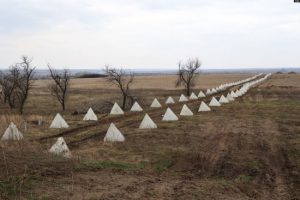 На Луганщині окупанти укріплюються в очікуванні наближення ЗСУ