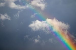 Рідкісне фото повної веселки, зроблене з гелікоптера, зачарувало Мережу