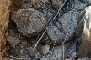 Скільки окупантів ліквідовано за добу: Генштаб назвав втрати ворога