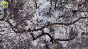 ЗСУ філігранно знищують окупантів “скиданням” боєприпасів: де намагаються ховатися росіяни (відео)