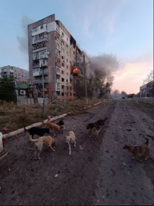 Бої за Авдіївку: Тарнавський розповів про оборону ЗСУ та знищених окупантів