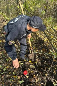 На Тернопільщині поліція перекопала жінці ділянку, шукаючи її “скарби”: фото