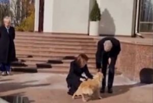 “Злякався небезпеки”: президента Австрії вкусив собака лідерки Молдови (відео)