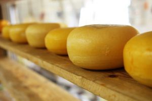 Чи справді до України потрапив отруйний сир: що кажуть у Держпродспоживслужбі